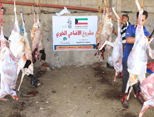 اضاحي 1